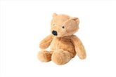Soft Plush Teddy Bear